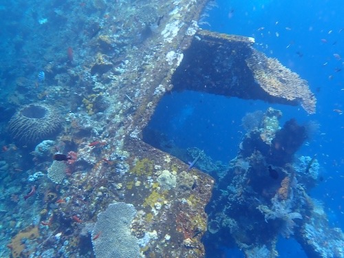 shipwreck snorkeling things to do