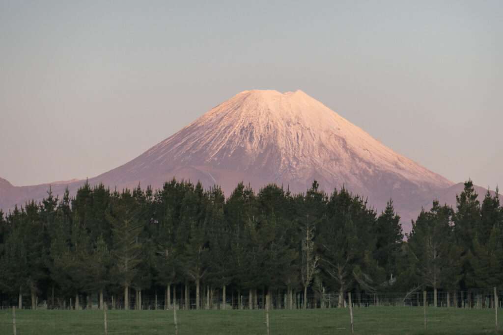 Trip to New Zealand
