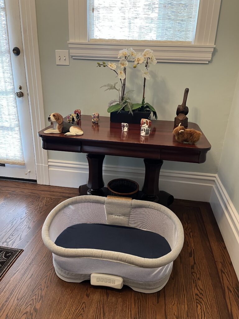 Bassinet on the ground