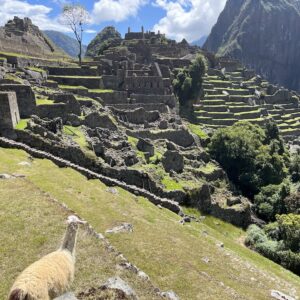 Machu Picchu what to do in South America